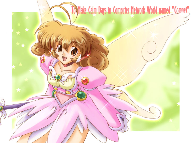 To Make Calm Days in Computer Network World named "Comnet"